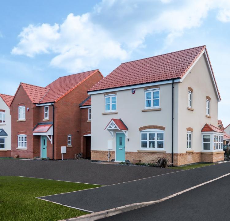 The Milkings Linnet show home
