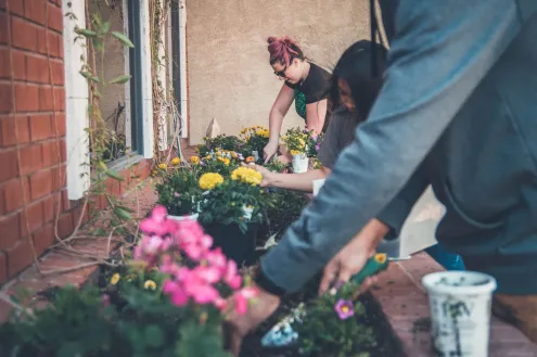 Community planting flowers